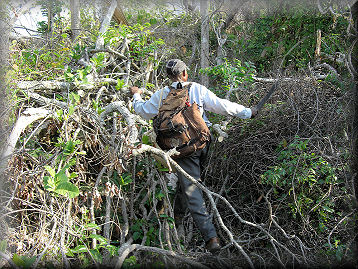 Zur Vergr&ouml;&szlig;erung bitte klicken