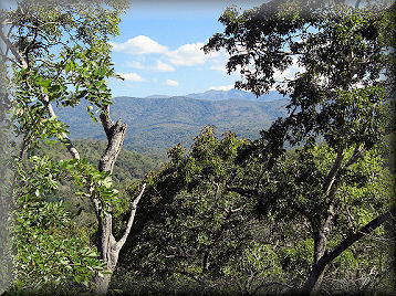 Zur Vergr&ouml;&szlig;erung bitte klicken