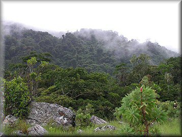Zur Vergr&ouml;&szlig;erung bitte klicken