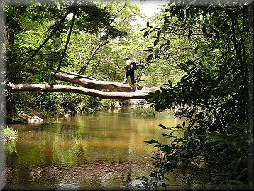 Zur Vergr&ouml;&szlig;erung bitte klicken